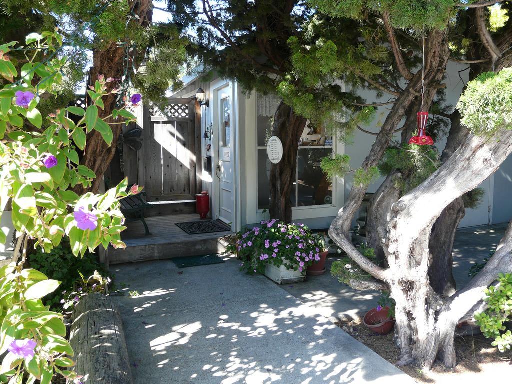 Harbor Inn Santa Cruz Dış mekan fotoğraf